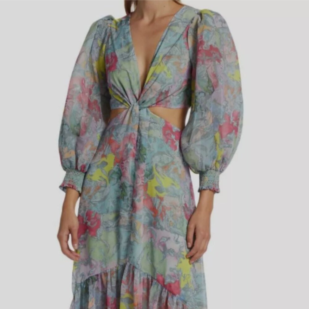 Alice + Olivia x Lola Schnable Katia Maxi Dress Size 4 NWOTs